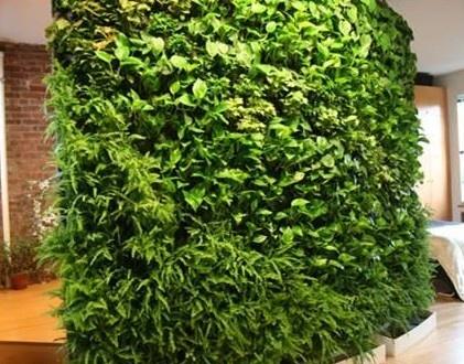立体绿化材料的植物搭配设计