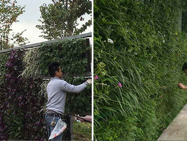 立体绿化设计的核心原则